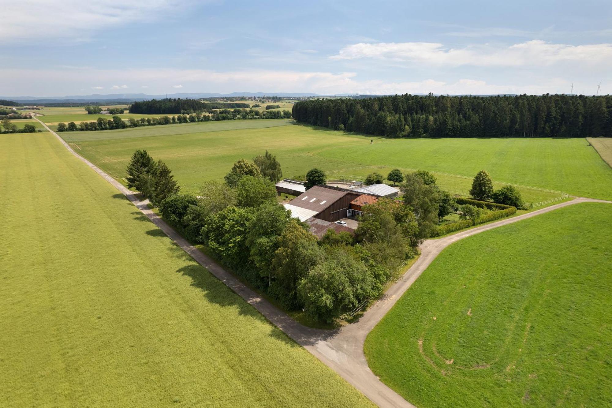 Fewo Naturliebe - Keine Monteure Dornhan Exteriér fotografie